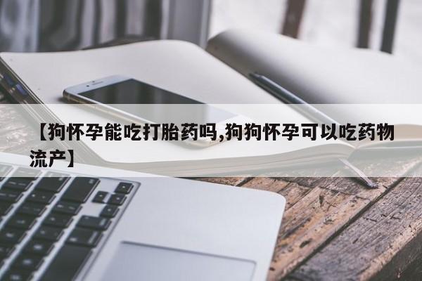 吃什么东西容易导致流产【狗怀孕能吃打胎药吗,狗狗怀孕可以吃药物流产】